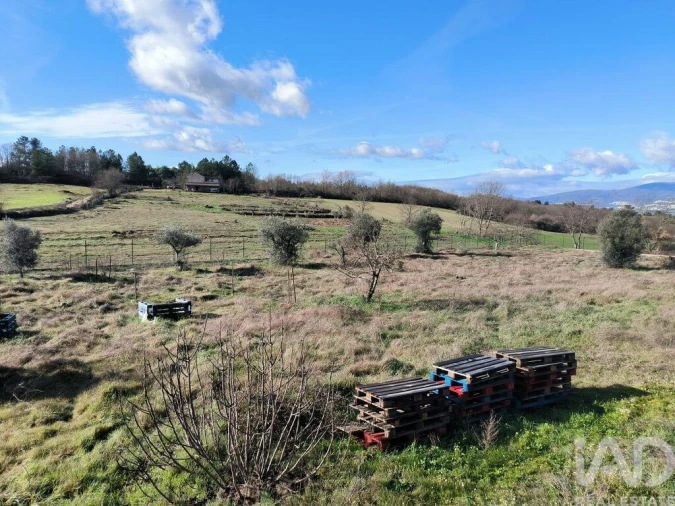 Moradia T3 para Venda em Caria Foto 24