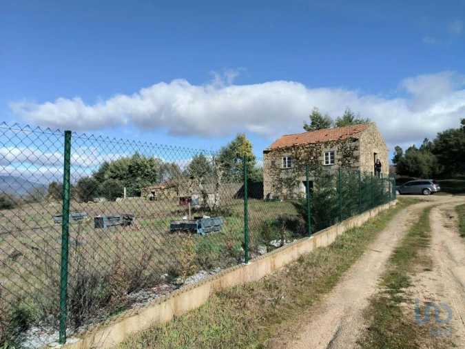 Moradia T3 para Venda em Caria Foto 5