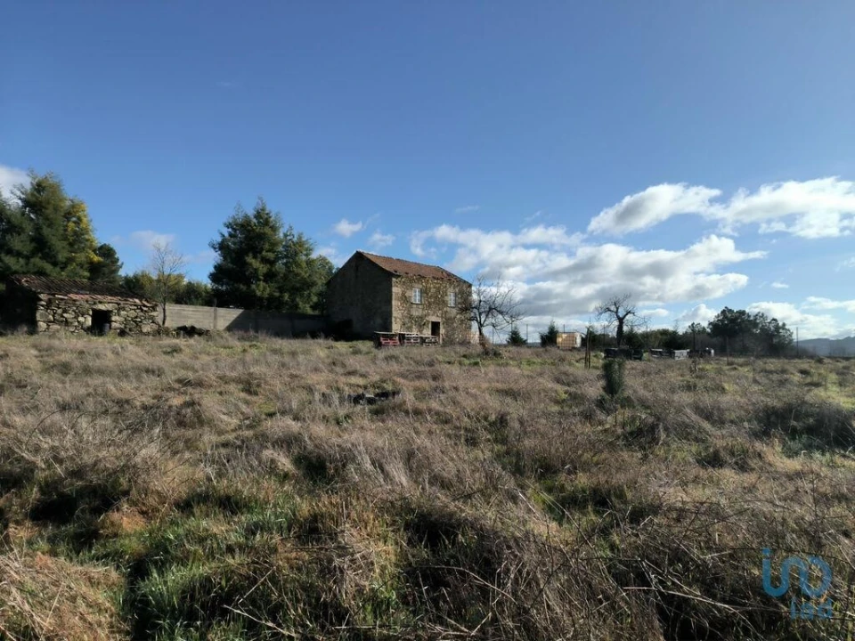 Moradia T3 para Venda em Caria Foto 14