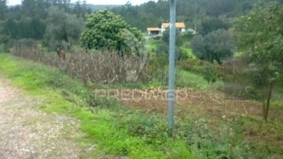 Terreno para Venda em Travassô e Óis da Ribeira