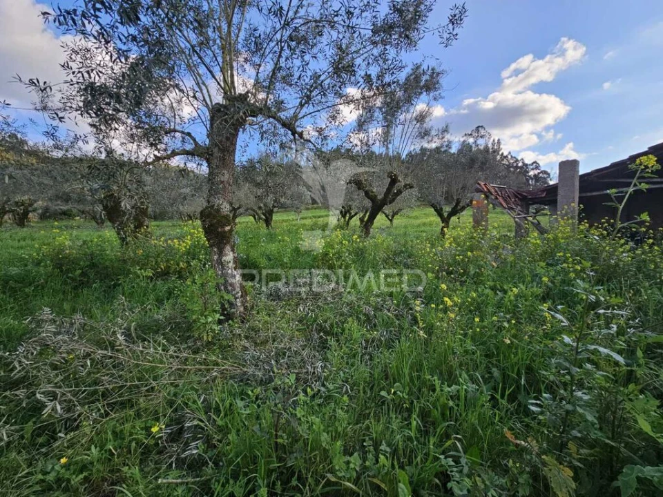 Moradia T3 para Venda em Nossa Senhora do Pranto Foto 10