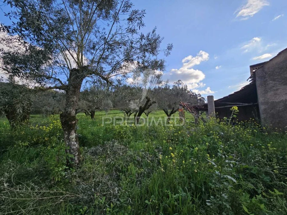 Moradia T3 para Venda em Nossa Senhora do Pranto Foto 13