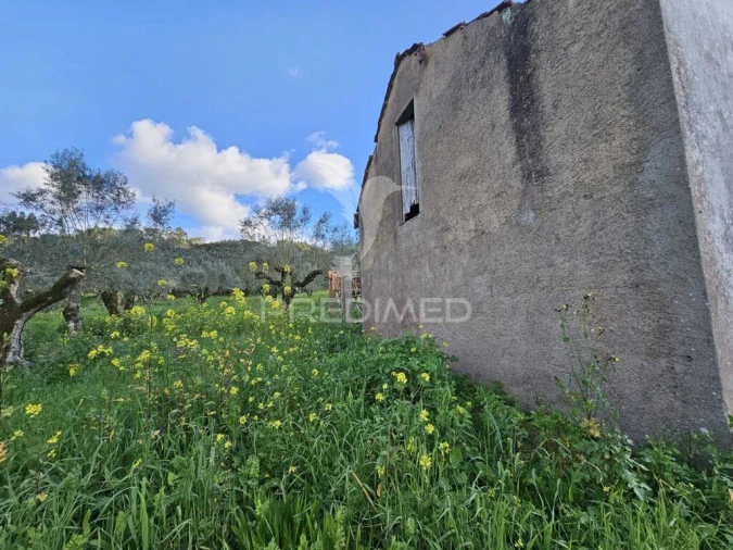 Moradia T3 para Venda em Nossa Senhora do Pranto Foto 12