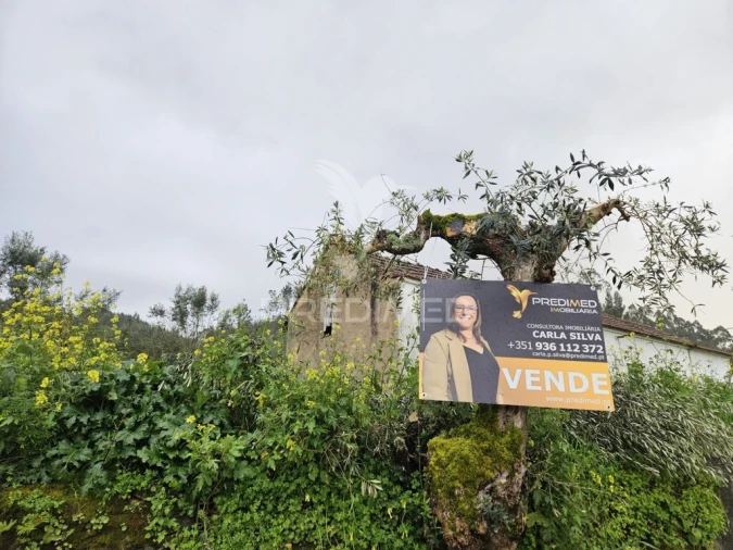 Moradia T3 para Venda em Nossa Senhora do Pranto Foto 14