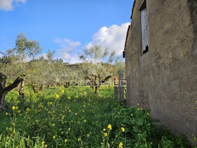 Moradia T3 para Venda em Nossa Senhora do Pranto Foto 9