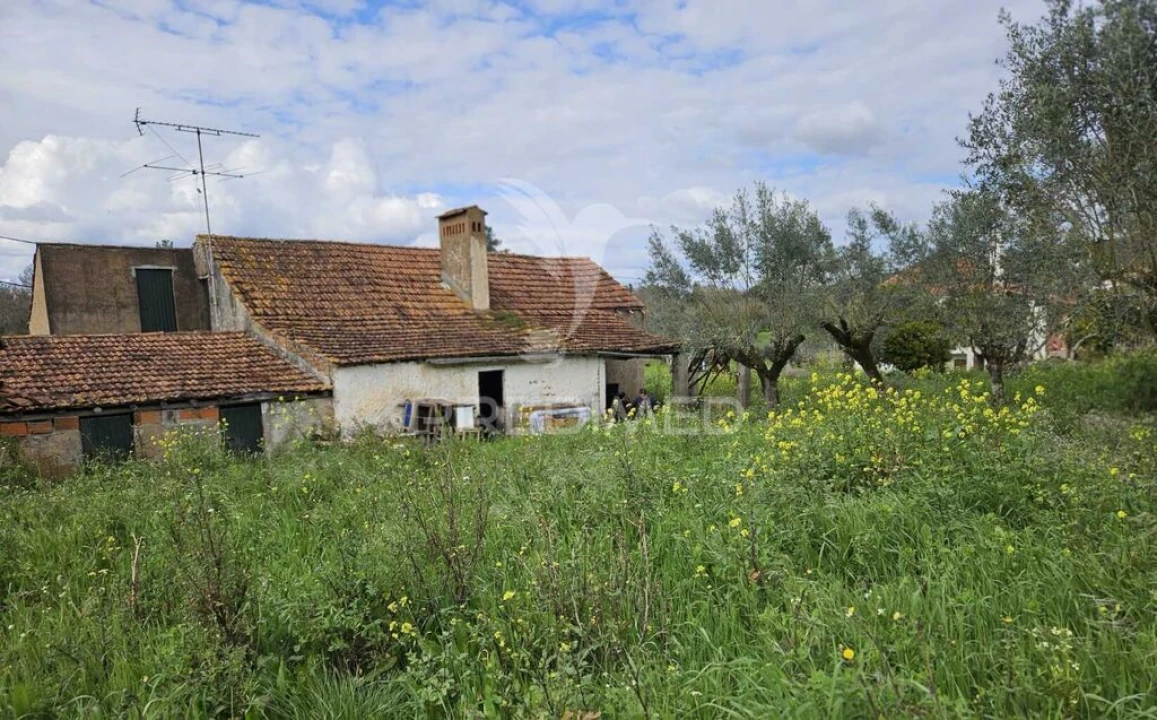Moradia T3 para Venda em Nossa Senhora do Pranto Foto 1