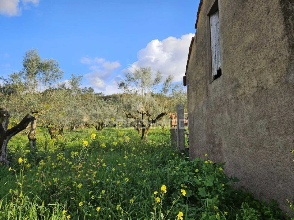 Moradia T3 para Venda em Nossa Senhora do Pranto Foto 9