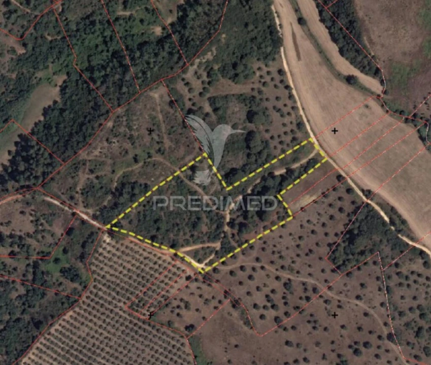 Terreno para Venda em Monsanto Foto 7