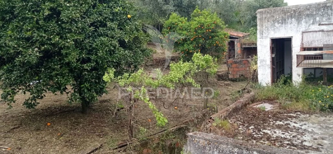 Moradia T3 para Venda em Montargil Foto 20