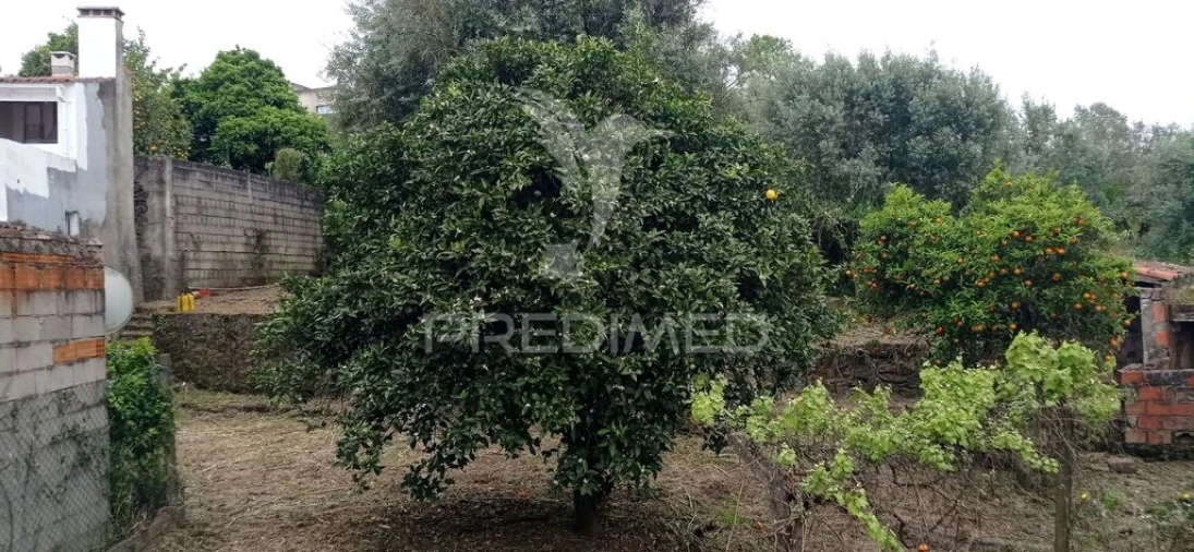 Moradia T3 para Venda em Montargil Foto 18