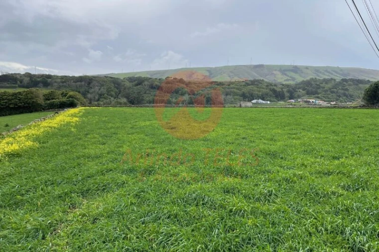 Terreno para Venda em Praia da Vitoria (Santa Cruz) Foto 1