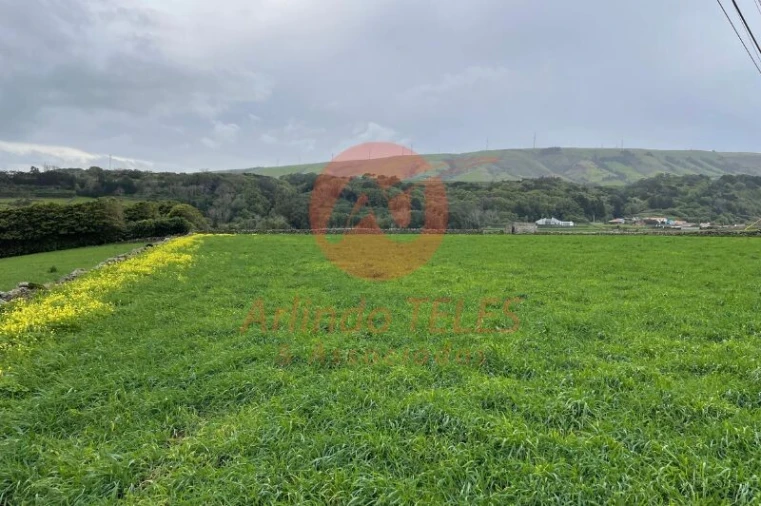 Terreno para Venda em Praia da Vitoria (Santa Cruz) Foto 35