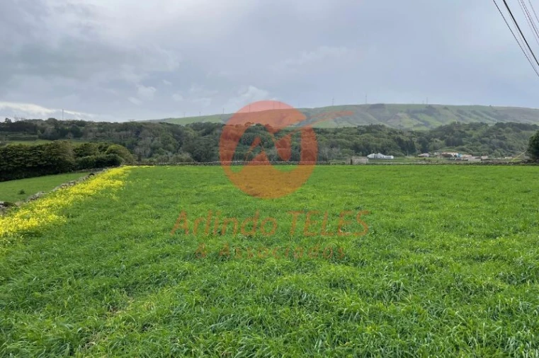 Terreno para Venda em Praia da Vitoria (Santa Cruz) Foto 33