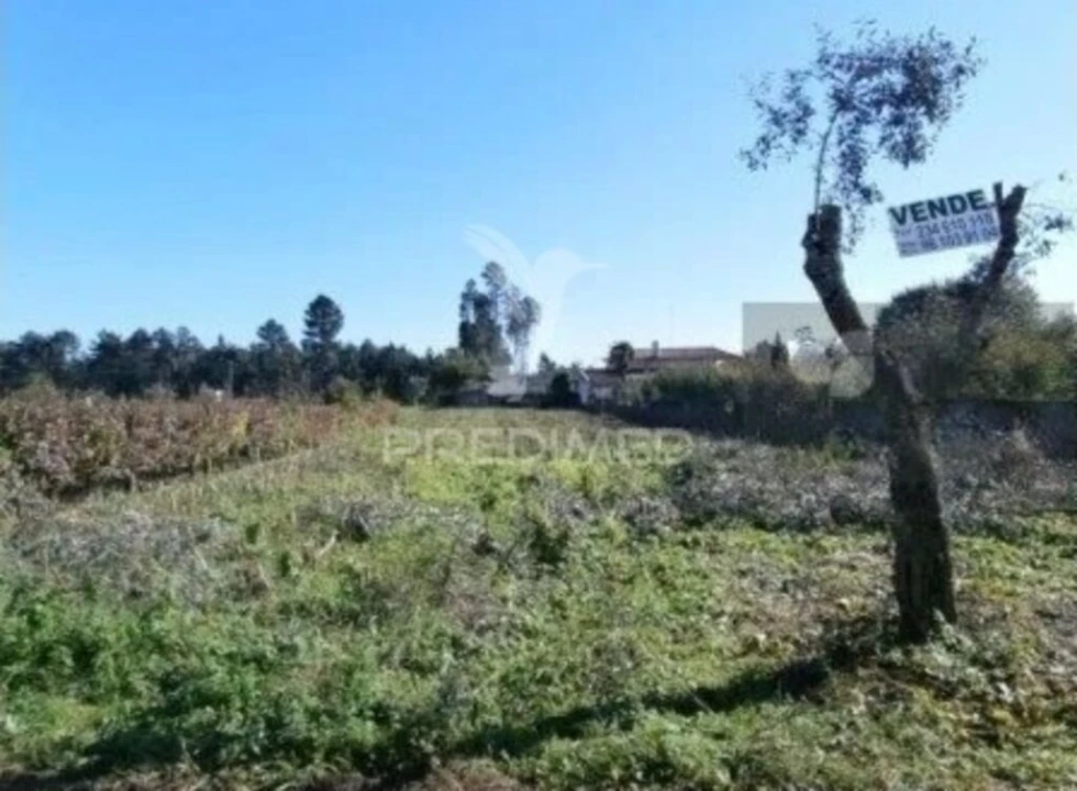 Terreno para Venda em Valongo do Vouga Foto 1