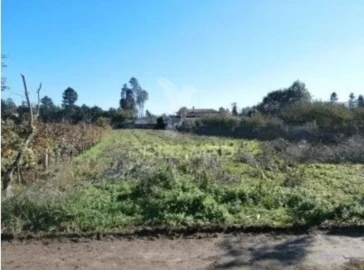 Terreno para Venda em Valongo do Vouga