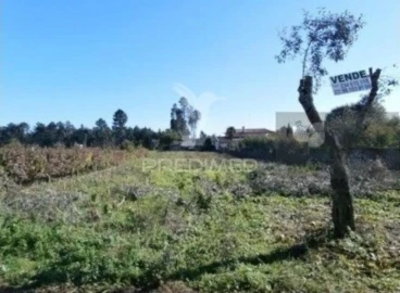 Terreno para Venda em Valongo do Vouga