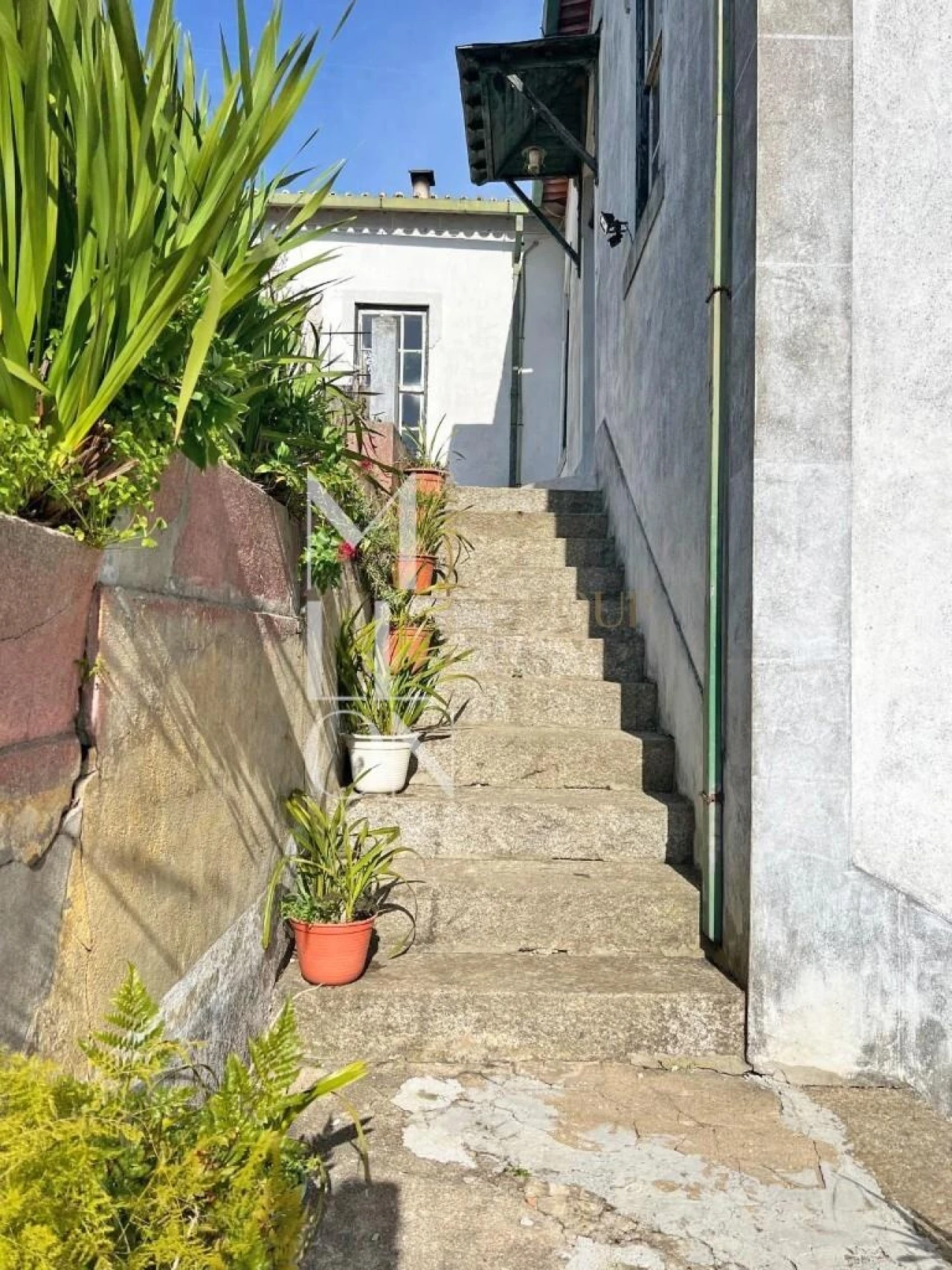 Quinta T5 para Venda em Vila Marim Foto 3