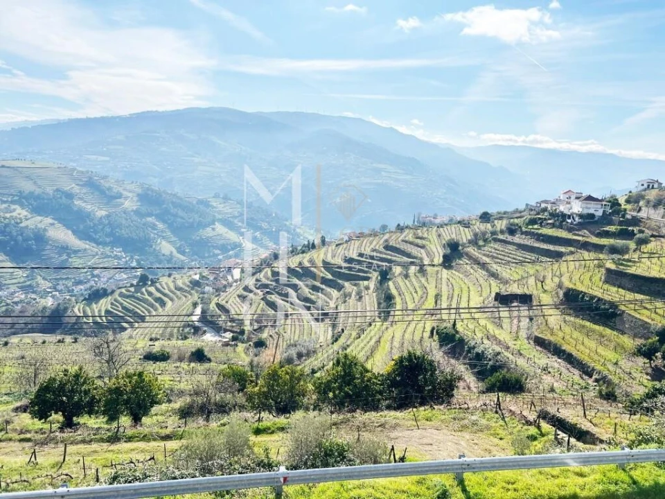 Quinta T5 para Venda em Vila Marim Foto 4
