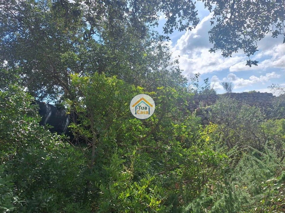 Terreno para Venda em Faro (Sé e São Pedro) Foto 6