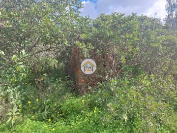 Terreno para Venda em Faro (Sé e São Pedro)