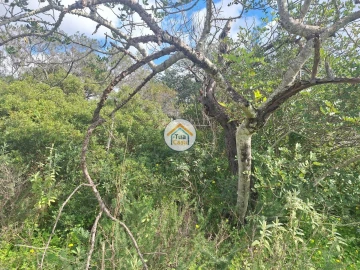 Terreno para Venda em Faro (Sé e São Pedro)