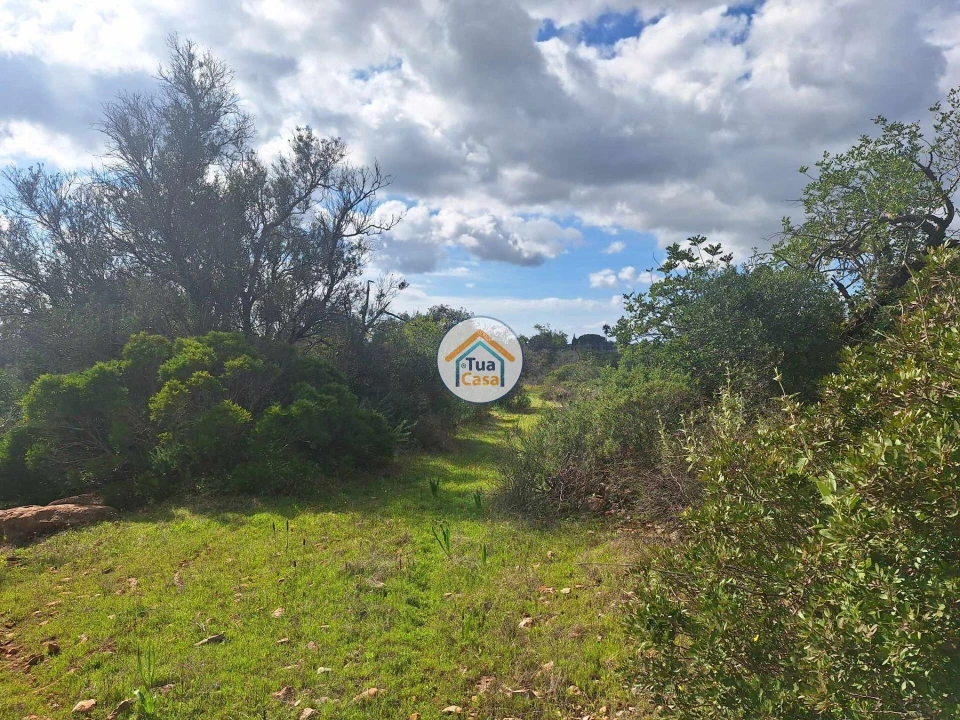 Terreno para Venda em Faro (Sé e São Pedro) Foto 14