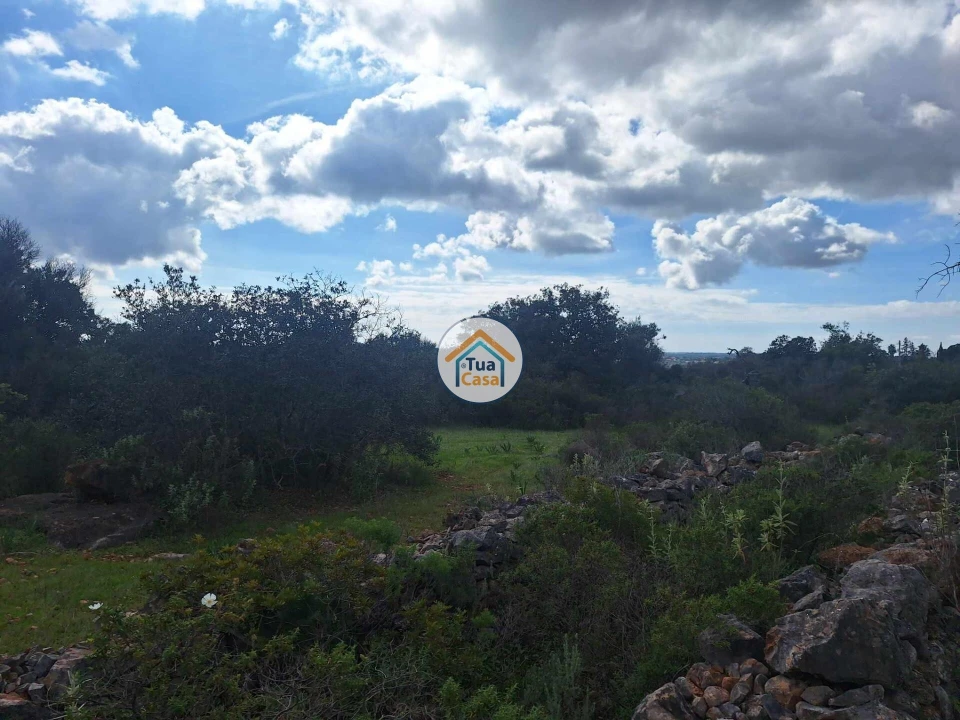Terreno para Venda em Faro (Sé e São Pedro) Foto 5