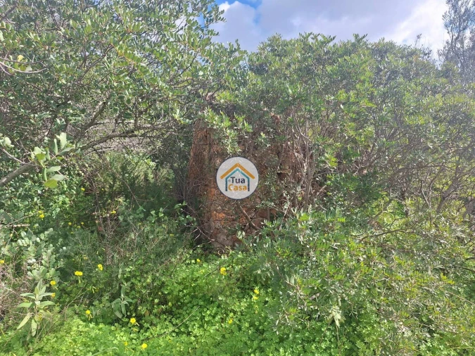 Terreno para Venda em Faro (Sé e São Pedro) Foto 12