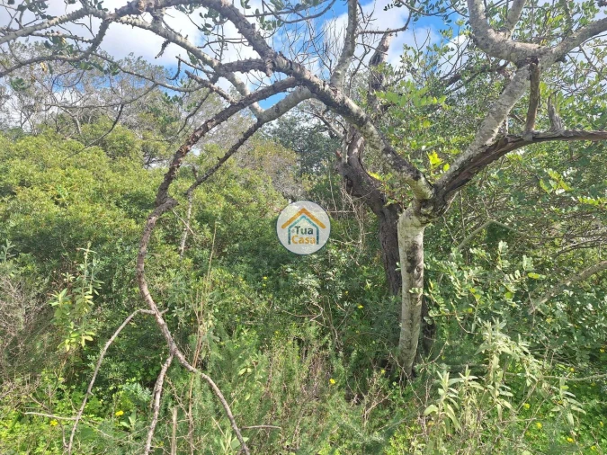 Terreno para Venda em Faro (Sé e São Pedro) Foto 10
