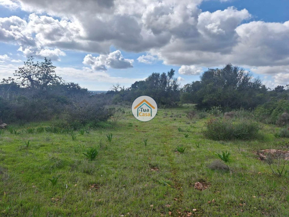 Terreno para Venda em Faro (Sé e São Pedro) Foto 2