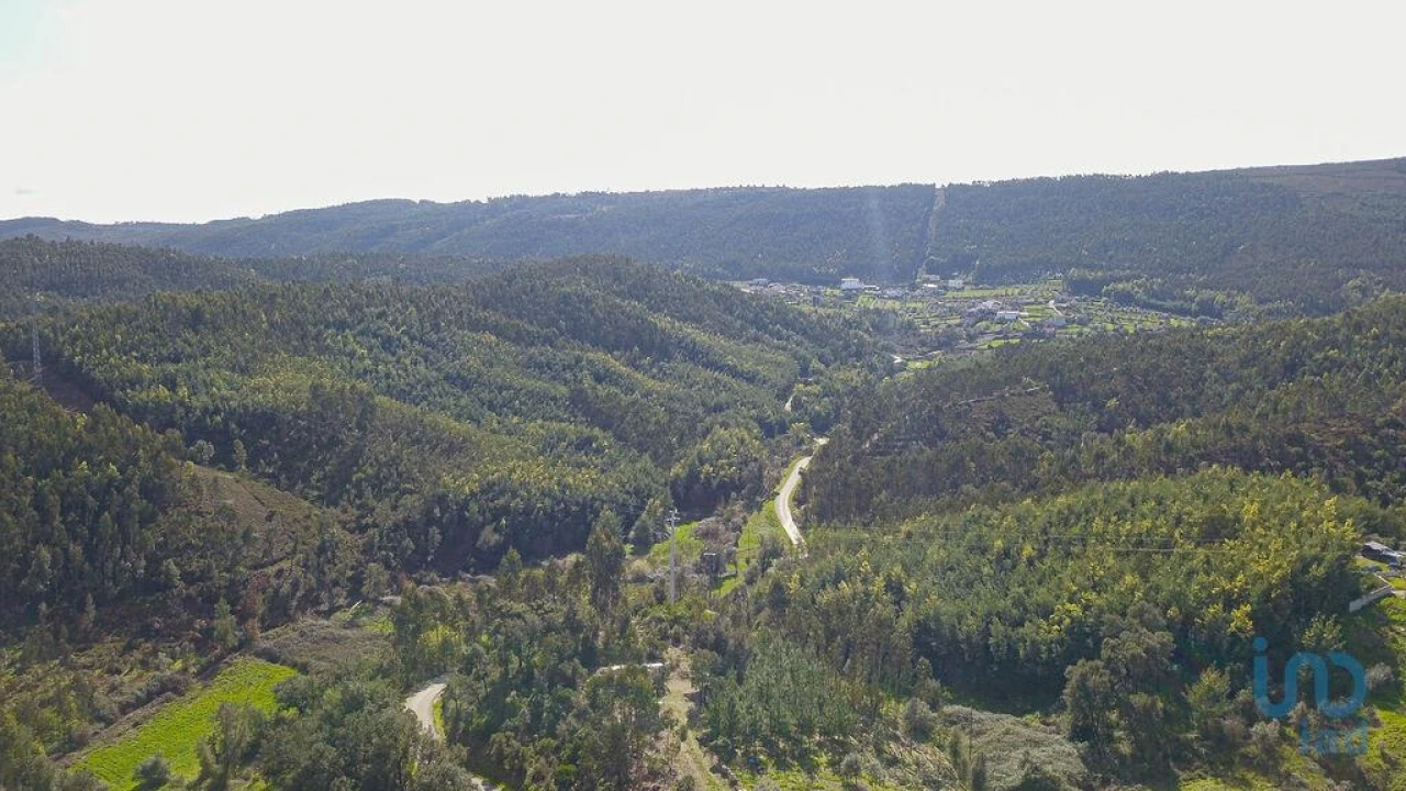 Moradia T1 para Venda em Friúmes e Paradela Foto 8