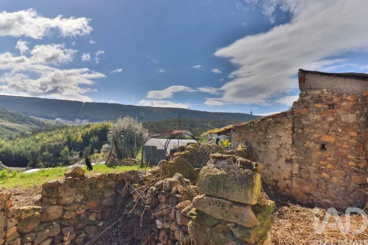 Moradia T1 para Venda em Friúmes e Paradela Foto 15