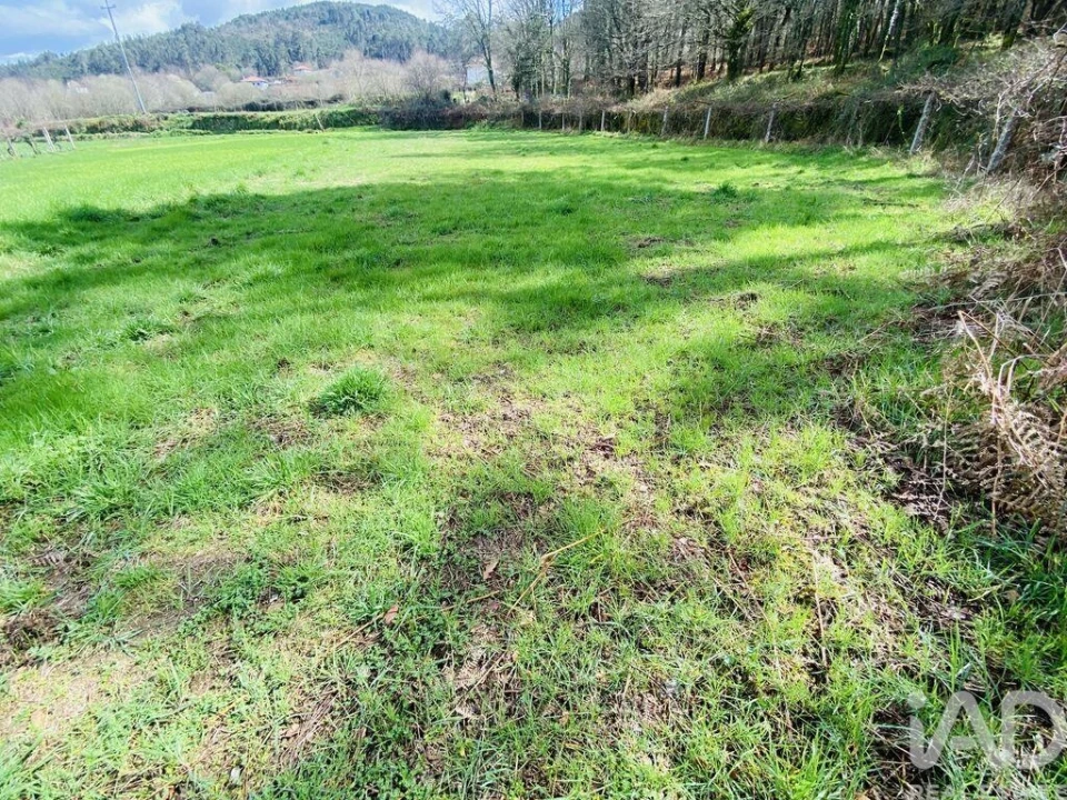 Terreno para Venda em Sapardos Foto 4