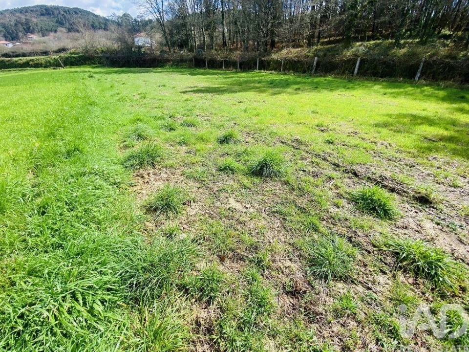 Terreno para Venda em Sapardos Foto 7