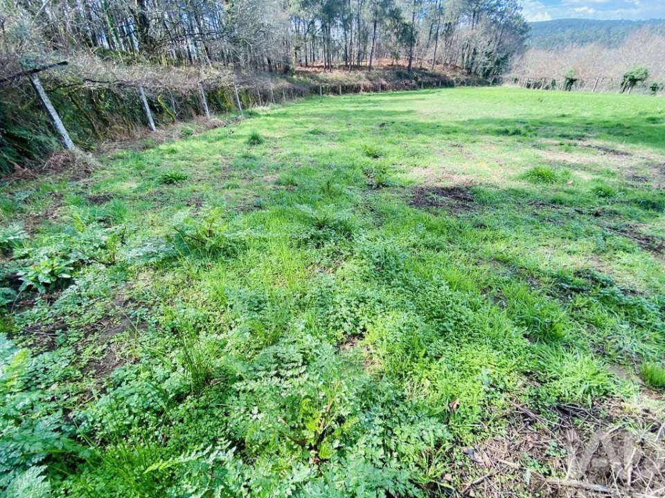 Terreno para Venda em Sapardos Foto 2