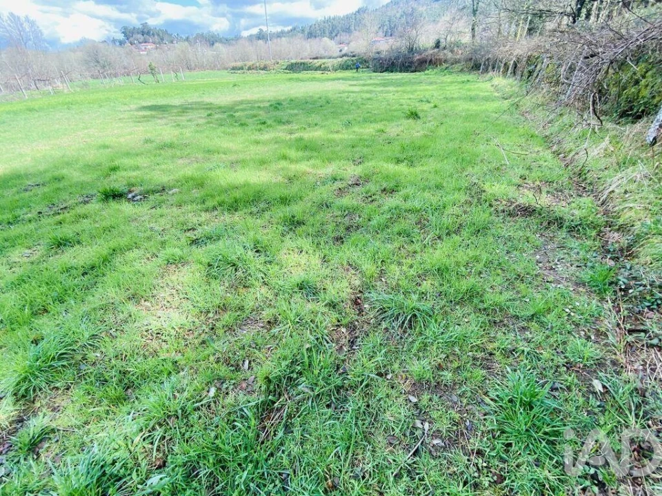 Terreno para Venda em Sapardos Foto 3