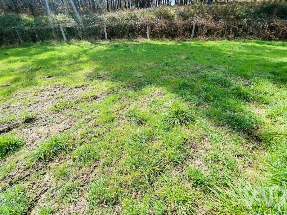 Terreno para Venda em Sapardos Foto 5