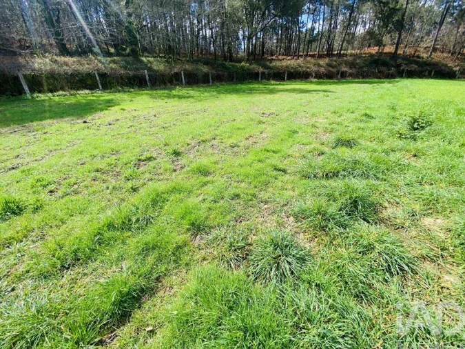 Terreno para Venda em Sapardos Foto 10