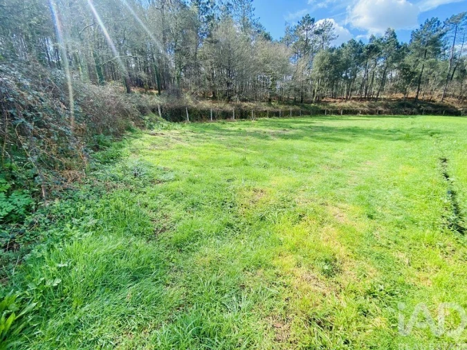 Terreno para Venda em Sapardos