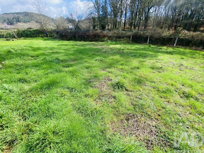 Terreno para Venda em Sapardos Foto 8