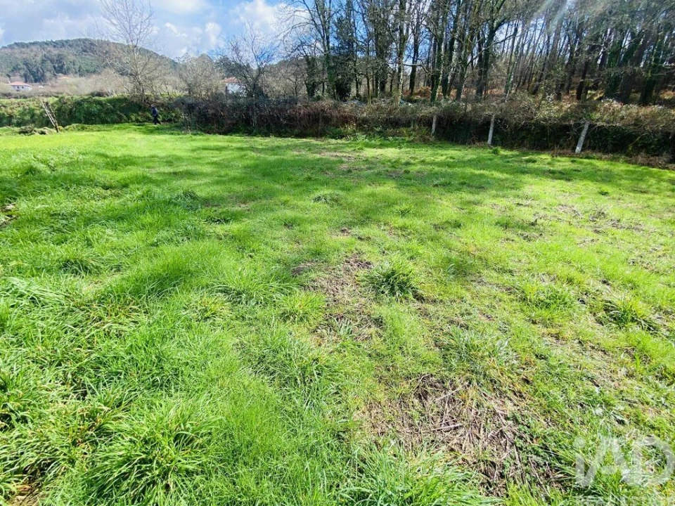 Terreno para Venda em Sapardos Foto 8