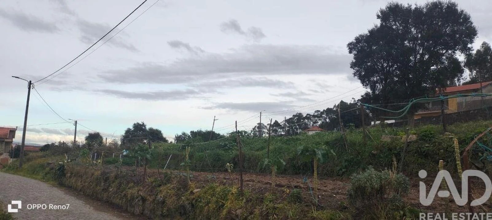 Terreno para Venda em Rebordões Foto 21