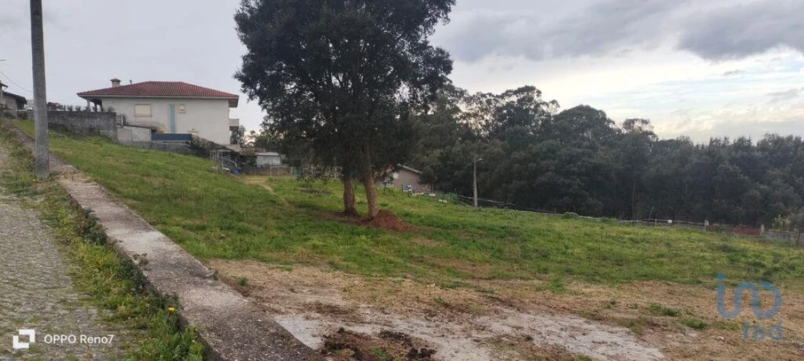 Terreno para Venda em Rebordões Foto 11