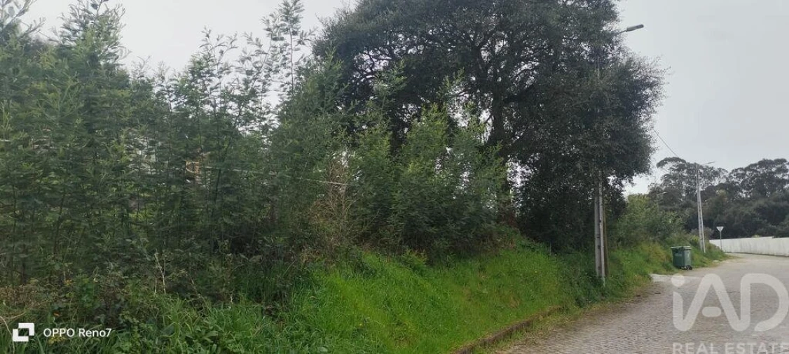 Terreno para Venda em Rebordões Foto 16