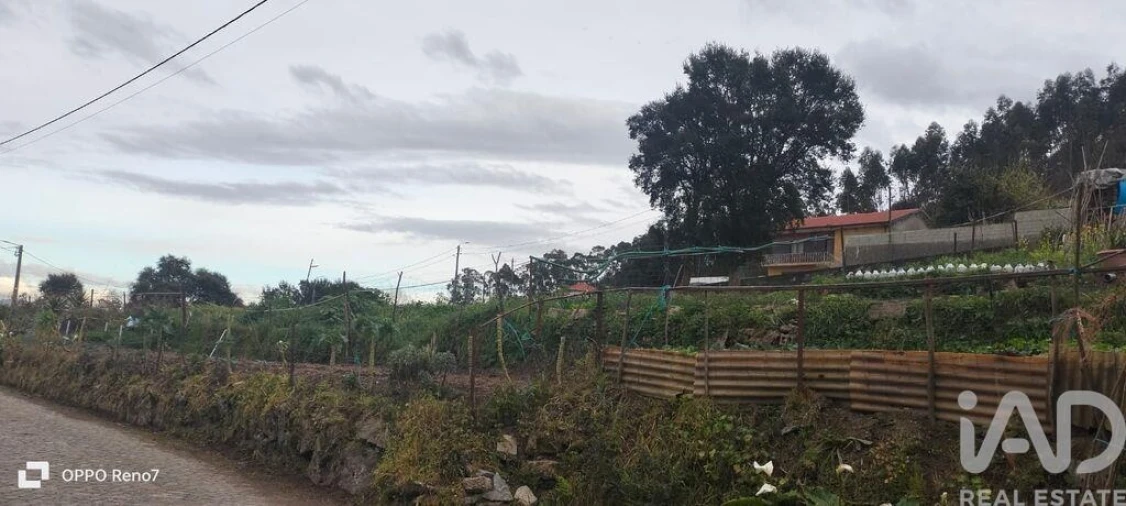 Terreno para Venda em Rebordões Foto 19