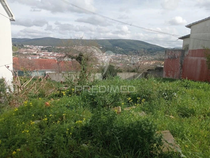 Terreno para Venda em Arrimal e Mendiga Foto 3