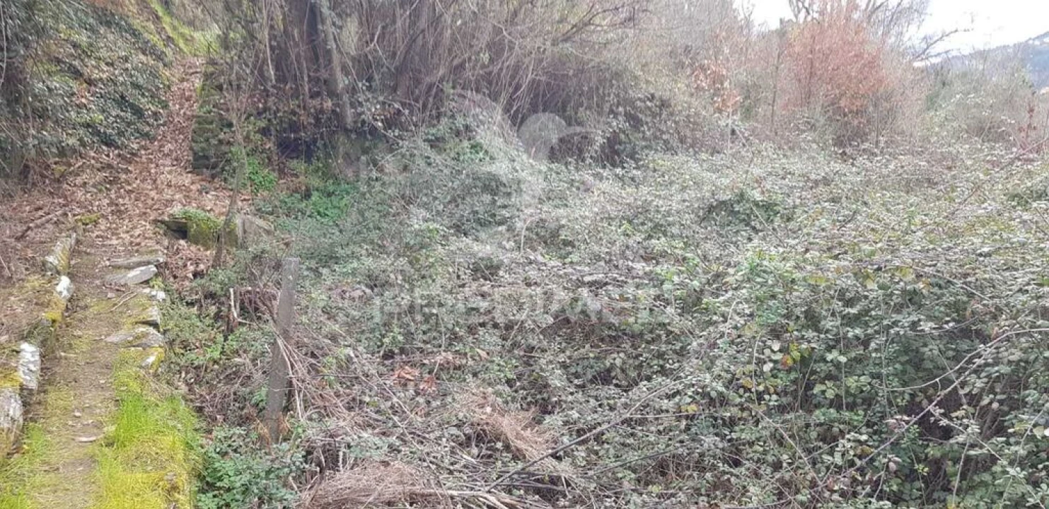 Terreno para Venda em Moura Morta e Vinhós Foto 1