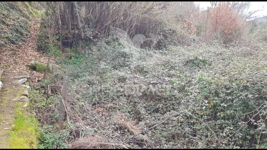 Terreno para Venda em Moura Morta e Vinhós