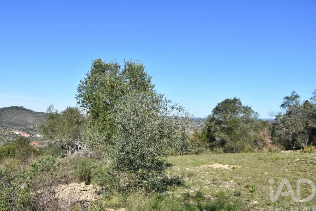 Terreno para Venda em Chãos Foto 25