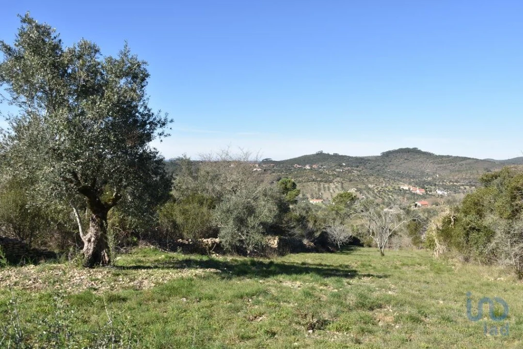 Terreno para Venda em Chãos Foto 12